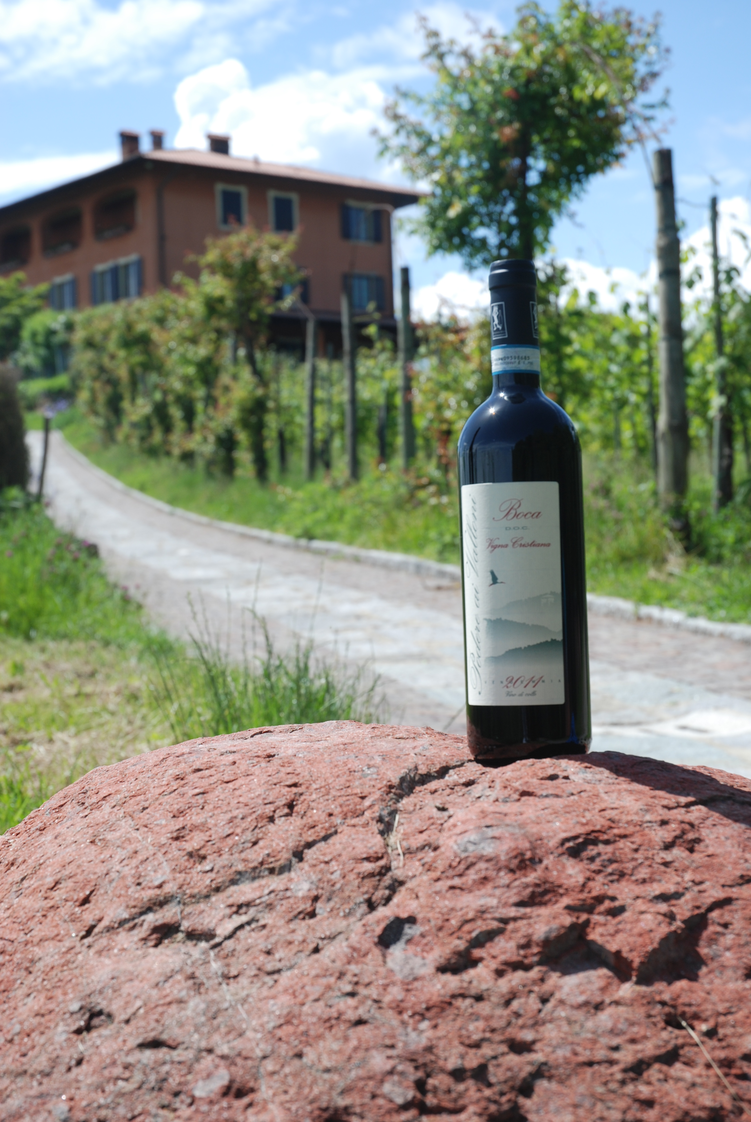 Alto Piemonte:  van ver verleden naar heden én de plusfactor van klimaatissues