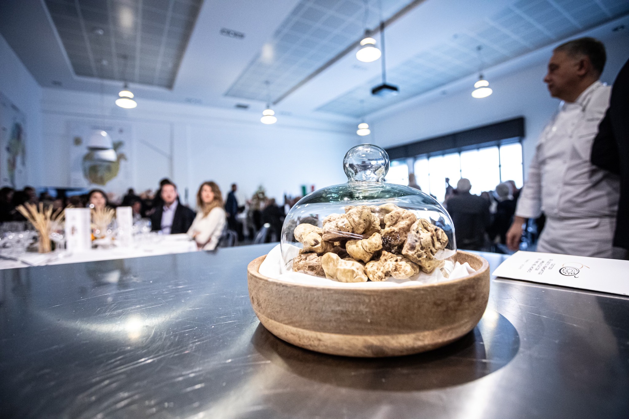Witte Truffel in Piemonte: onze zélf beproefde plekken met hoge aaibaarheidsfactor 