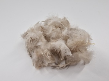Mallard Flank Feathers White Natural