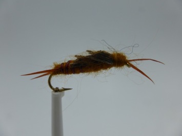 Size 14 Kaufmann Stone Brown