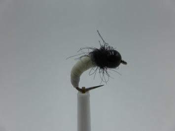 Size 12 Tungsten Maggot  Barbless