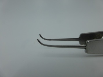 A&M Tweezers Curved Silver Gold