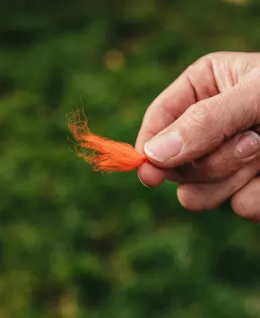 Loon Strike Out Orange
