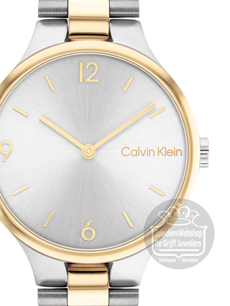 Calvin Klein CK25200132 Horloge Dames Bicolor