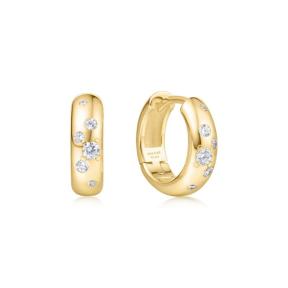 Ania Haie Chubby Huggie Hoop earrings E065-04G