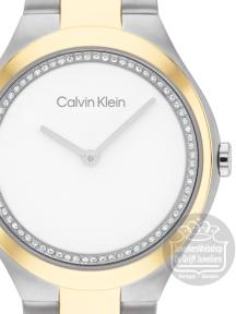 Calvin Klein CK25200366 Horloge Dames Bicolor