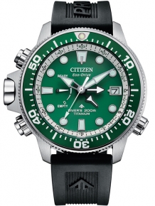 citizen BN2040-17X promaster horloge