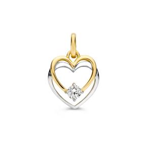 Excellent Jewelry Hanger HB428227 bicolor hart