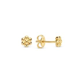 Jackie Gold Margarita Studs JKE23.307