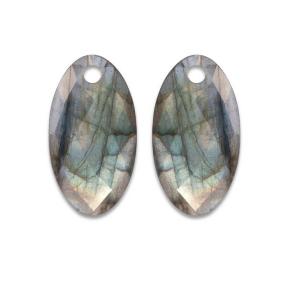 sparkling jewels earring editions facet Labradorite ear leaf eardrops eagem18-fclf-l