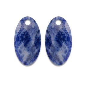 sparkling jewels earring editions facet Sodalite ear leaf eardrops eagem20-fclf-l