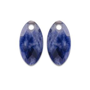 sparkling jewels earring Sodalite ear leaf eardrops eagem20-fclf-s