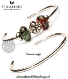 Trollbeads TAGBA-00002 Zilveren bangle