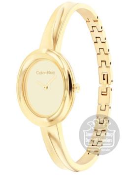 Calvin Klein CK25100056 Horloge Dames Goud