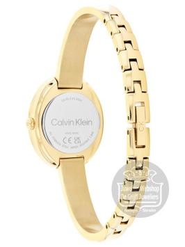 Calvin Klein CK25100056 Horloge Dames Goud