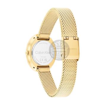 Calvin Klein CK25100152 Horloge Dames goudkleurig
