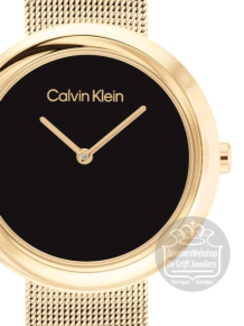 Calvin Klein CK25200012 Horloge Dames Goud