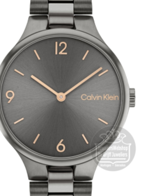 Calvin Klein CK25200130 Horloge Dames Grijs