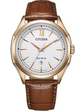 citizen eco drive horloge AW1753-10A