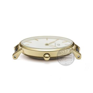 Daniel Wellington Petite Evergold horloge DW00100350