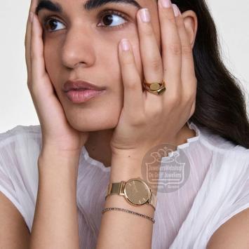 Daniel Wellington Petite Reflection horloge DW00100797
