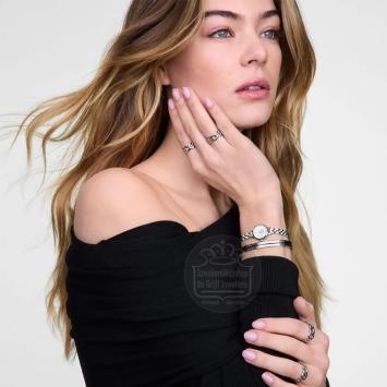 Daniel Wellington Petit Mini Sterling horloge DW00100853