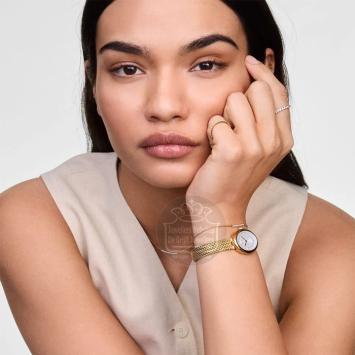 Daniel Wellington Juliette Braided Mesh horloge DW00100882