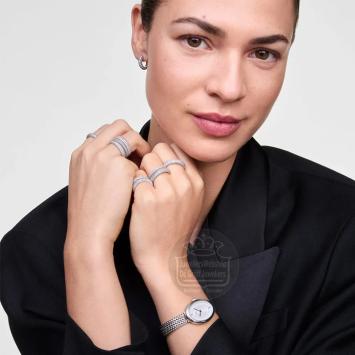 Daniel Wellington Juliette Braided Mesh horloge DW00100884