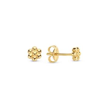 Jackie Gold Margarita Studs JKE23.307