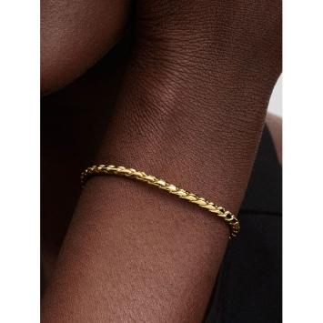 Pandora armband Silver Goldplated Ronde Sluiting 564028C00-18