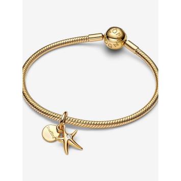 Pandora bedel goldplated Zeester Charm 763892C01