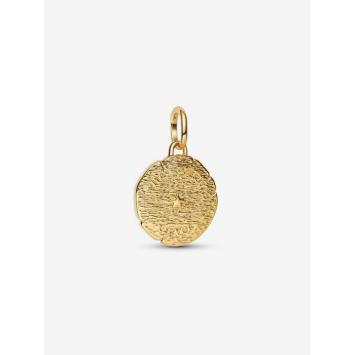 Pandora bedel Silver Goldplated Leeuw Charm 763974C01