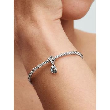 Pandora Silver Roos In Bloei bedel 793213C00