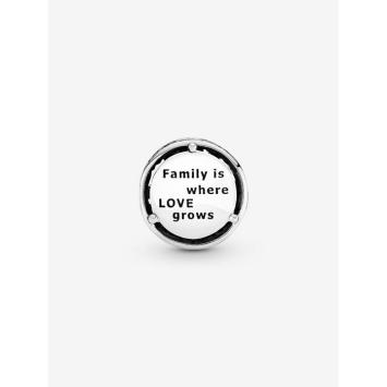 Pandora Silver Stamboom bedel 797590