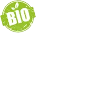 bio.webp