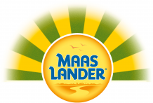 Maaslander
