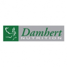 Damhert Damhert