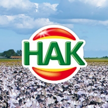 Hak Hak