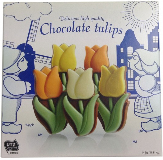Hollandse Chocolade Tulpen