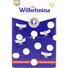 Fortuin Wilhelmina Pepermunt Dispenser Per Stuk Verpakt (200 stuks)