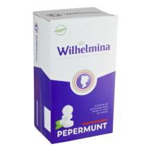 Fortuin Wilhelmina Pepermunt Doos 3 Kilo