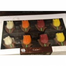 Chocolade Nederlandse Tulpen