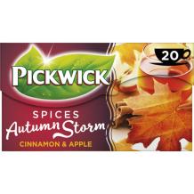 Pickwick Spices Autumn Storm (20 stuks)