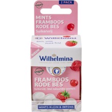  Fortuin Wilhelmina Mints Framboos & Rode Bes (60 gr.)