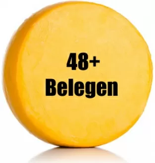 Hele Nederlandse Belegen Kaas