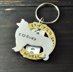 Dierenpenning Border-Collie