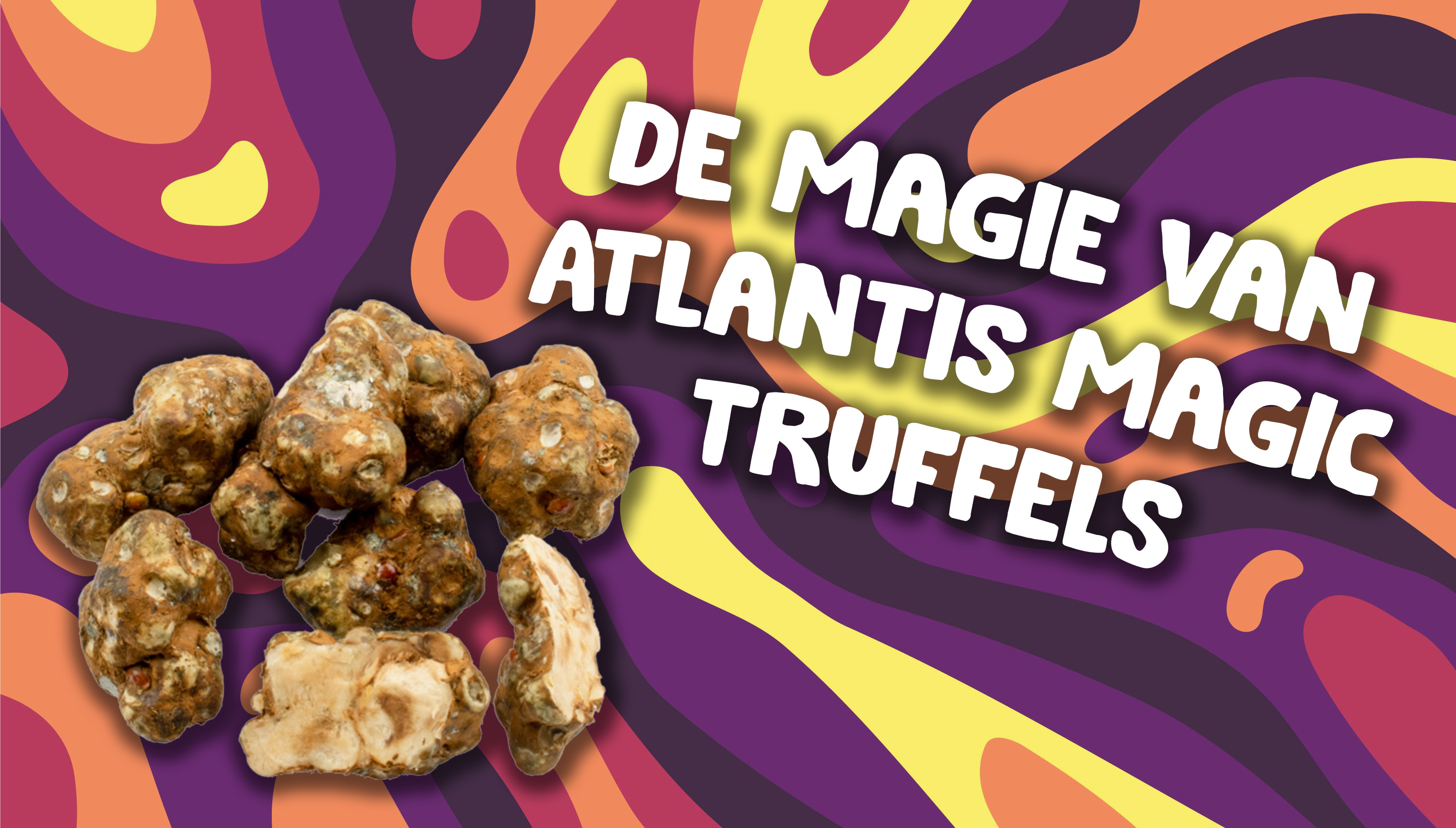 Atlantis magic truffels