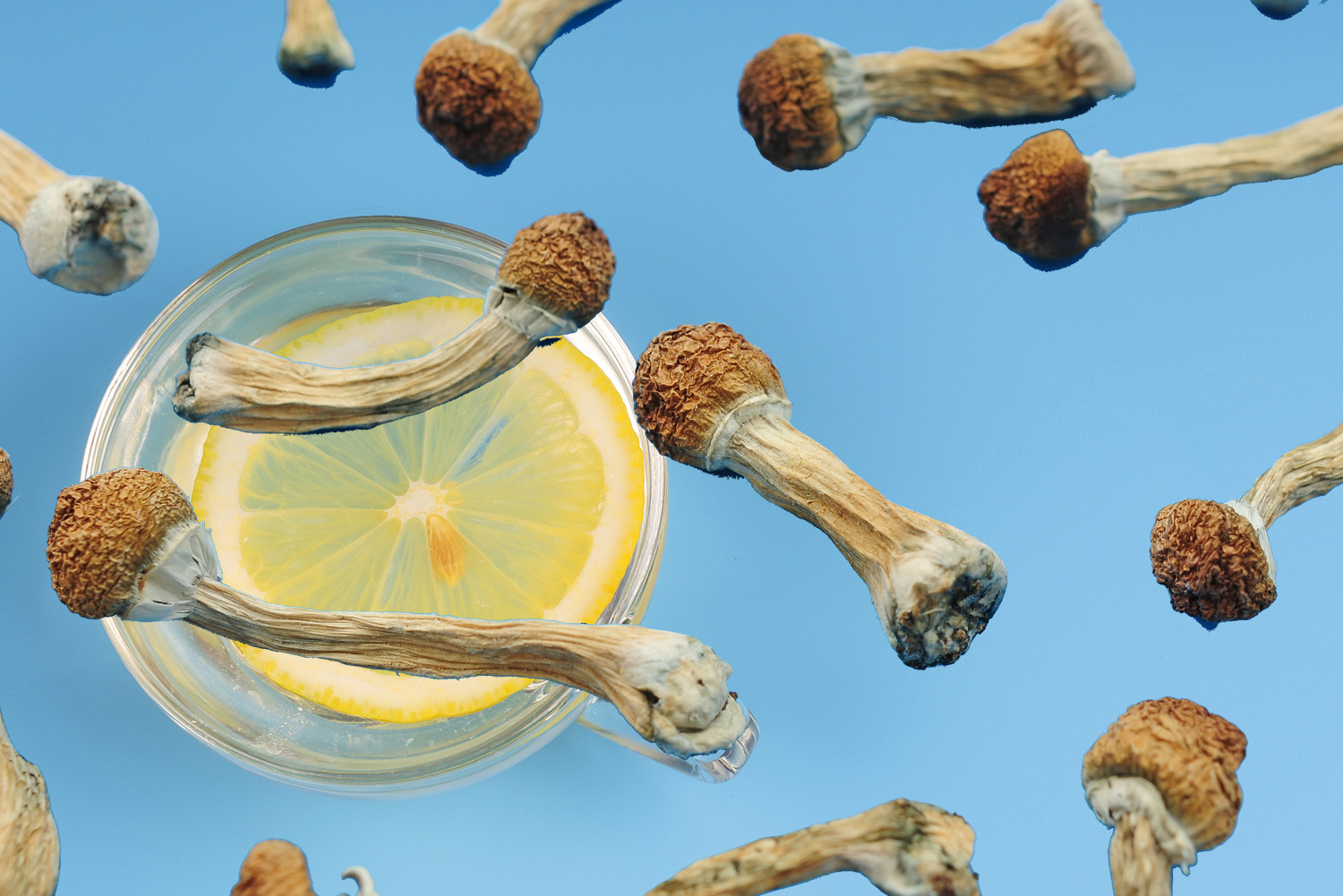 Lemon Tek: snellere en intensere trip met citroensap