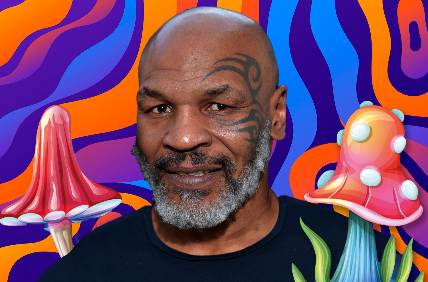 mike tyson psychedelica paddos