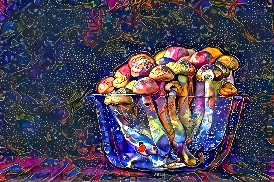 mushrooms magic cool